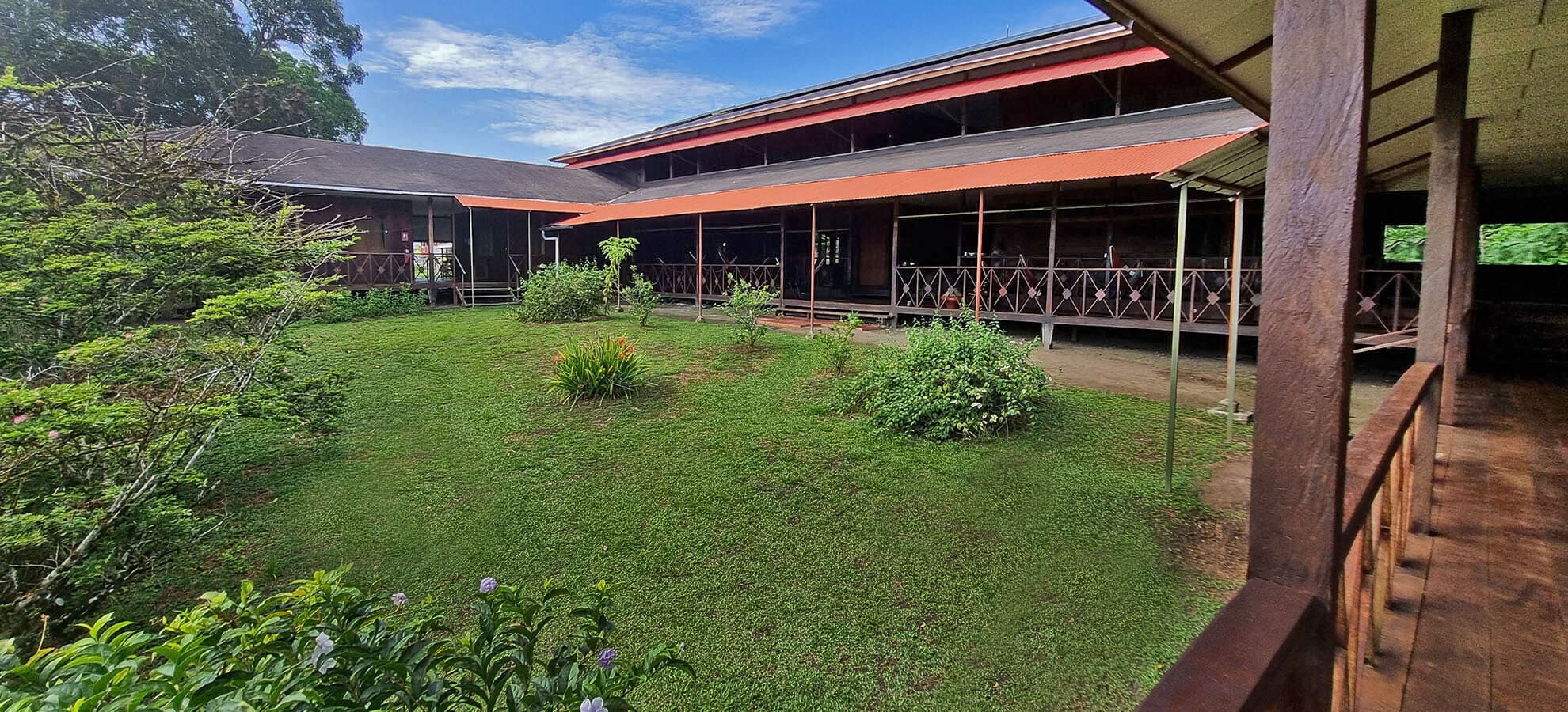 Photo of Ayahuasca Foundation