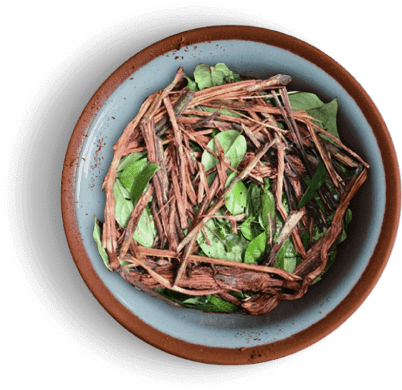 Photo of Ayahuasca Kindy Colibri