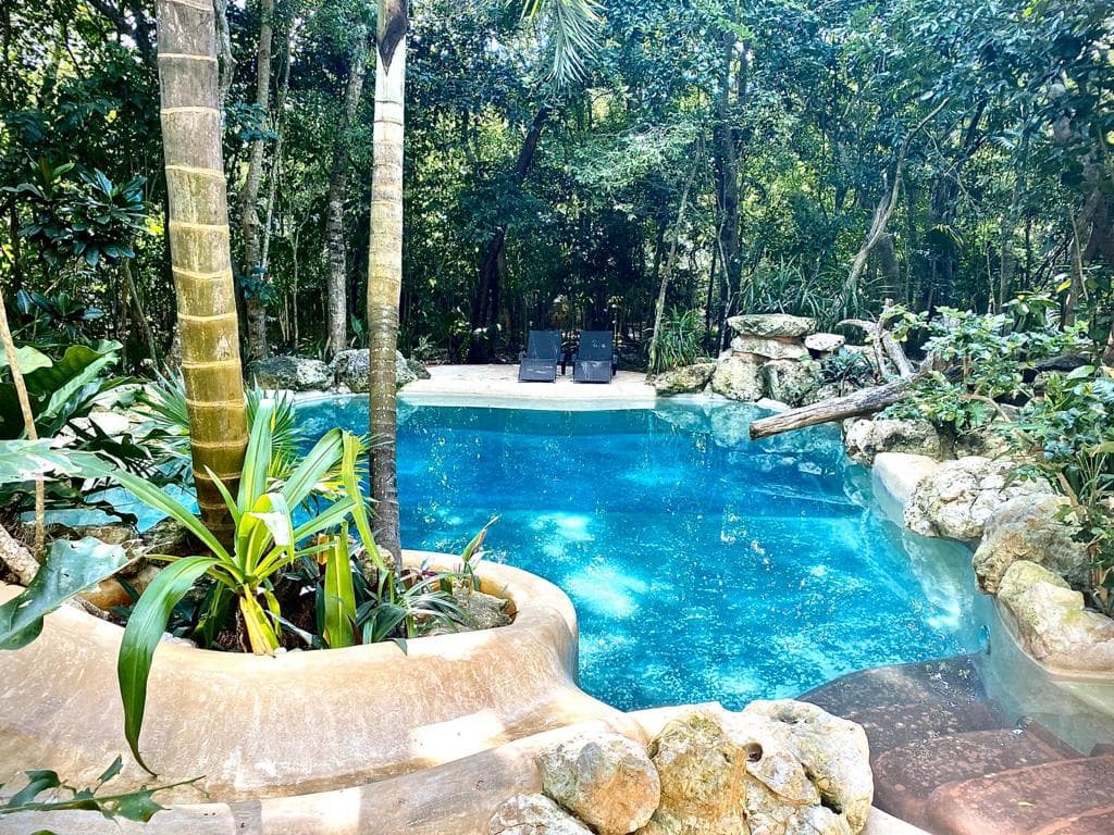 Photo of Bluestone Ayahuasca
