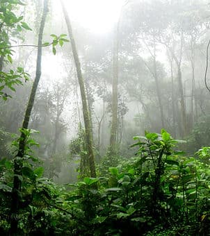 Photo of Dos Águilas Healing