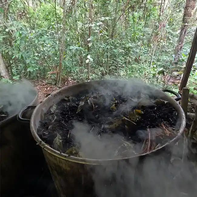 Photo of Home Of Ayahuasca