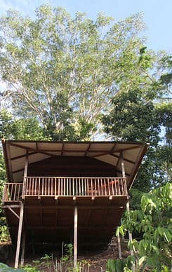 Photo of La Musa Verde