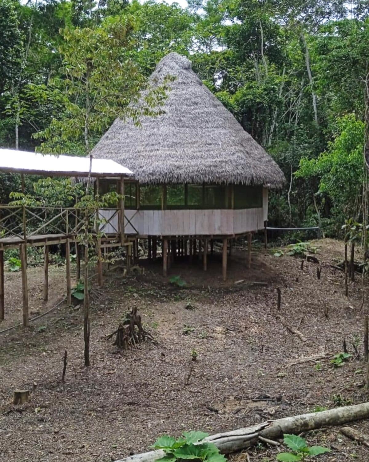 Photo of Luz Y Vida Amazon Lodge