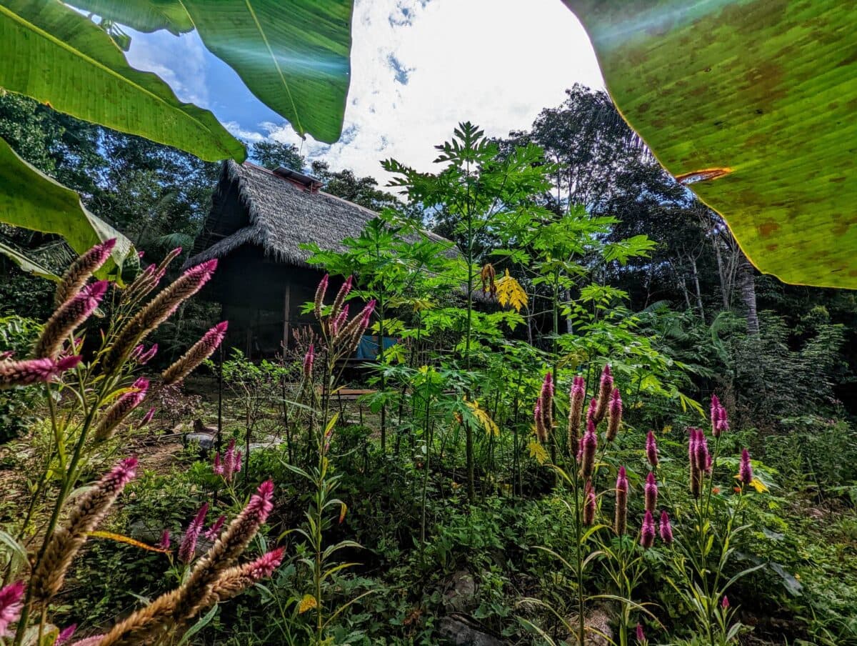 Photo of Mahāvana Foundation