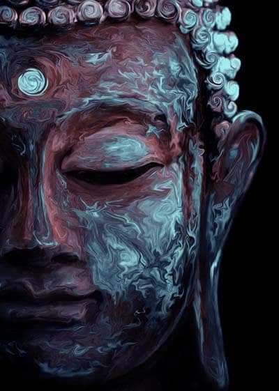Photo of Mushroom Awakening