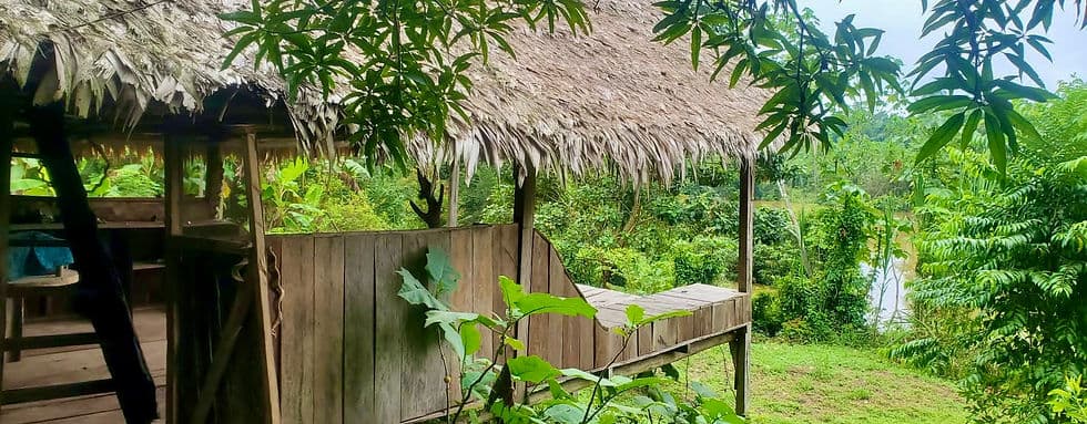 Photo of Paojilhuasca Amazon Medicine Camp