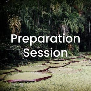 Photo of Preparation & Integration