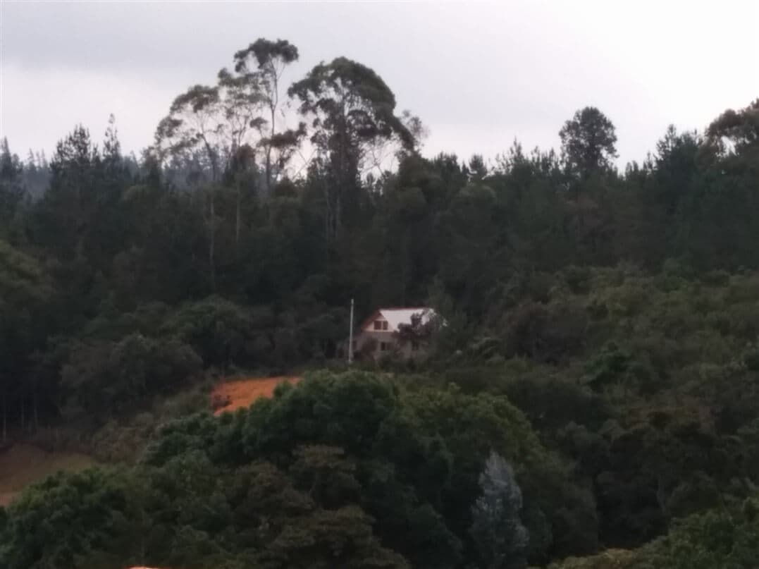 Photo of Rasa Healing Center