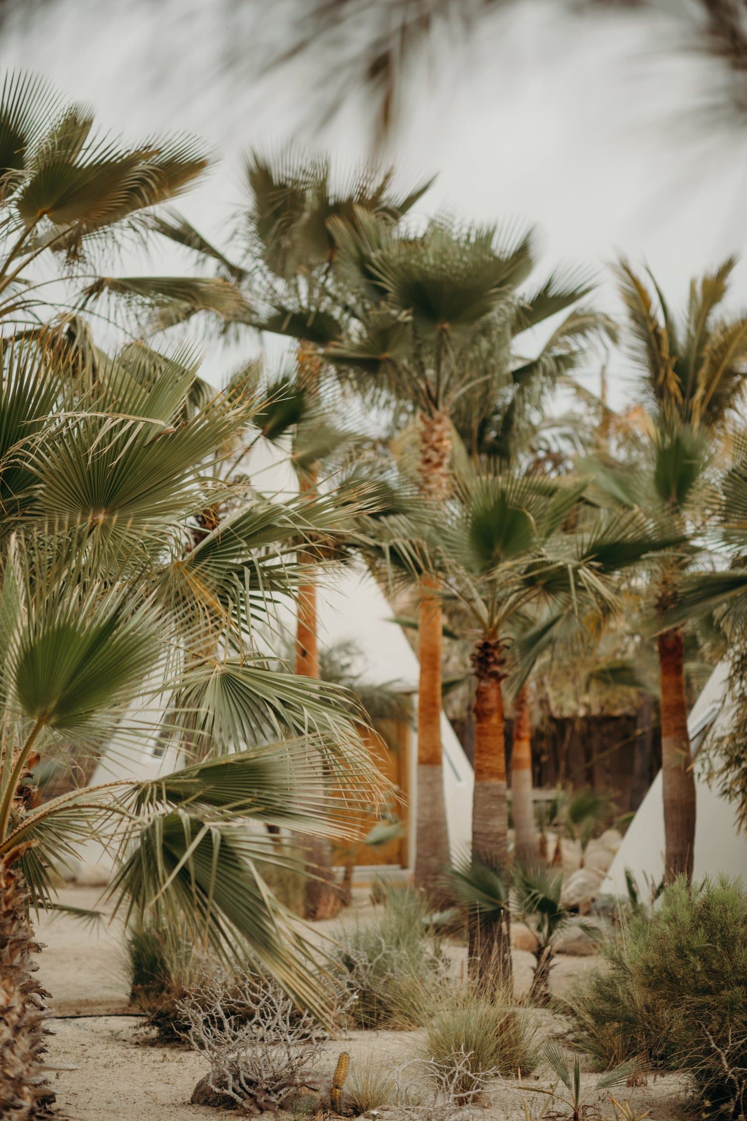 Photo of Salvaje Retreat