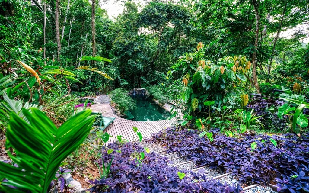 Photo of Shamana Retreat Center And Ecolodge